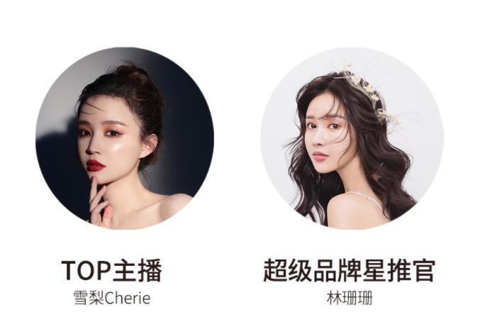 宸帆電商官網(wǎng)截圖。