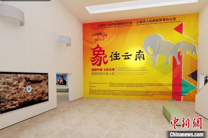 圖為“象”往云南——美麗中國(guó) 七彩云南視頻及圖片線上展截圖?！『h(yuǎn)航 攝