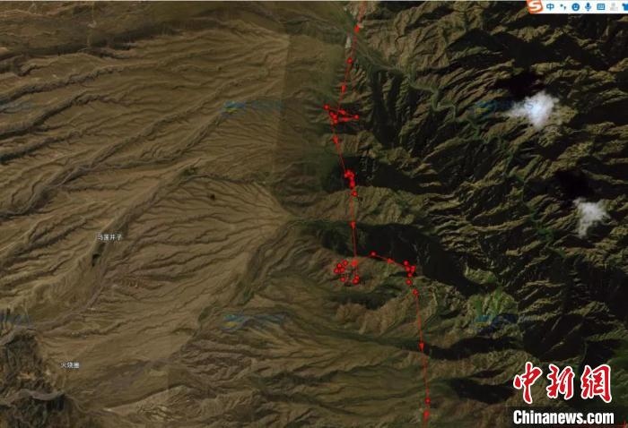 圖為雪豹故地重游來(lái)到放歸地的足跡?！?nèi)蒙古賀蘭山國(guó)家級(jí)自然保護(hù)區(qū)供圖