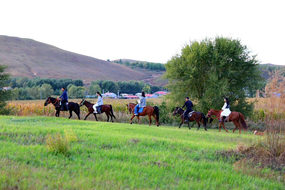 輝煌“十四五”奮進(jìn)的答卷 ∣ 葛根廟鎮(zhèn)開(kāi)啟“重走騎兵路”紅色主題騎行線路