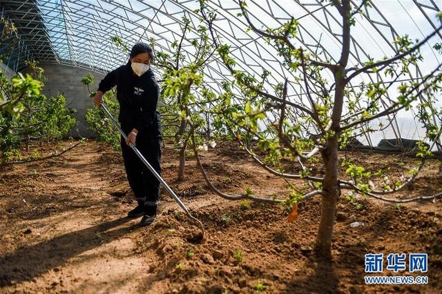 1604387427114683.jpeg 5531_2.jpeg