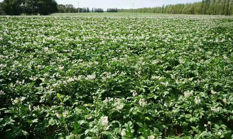 1629422026853482.jpg 微信圖片_20210820091002.jpg