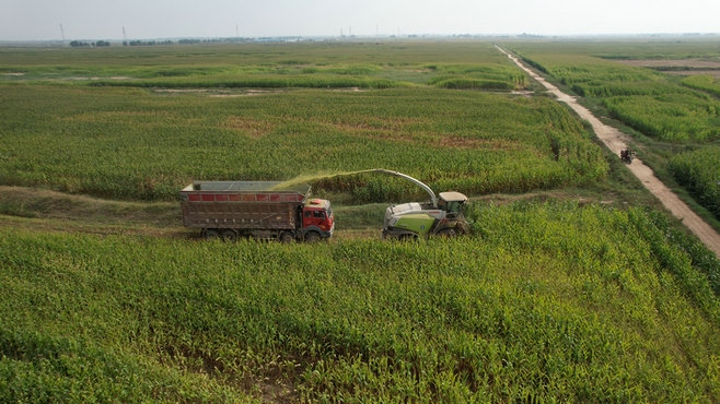 1695024656928625.jpg 6.jpg