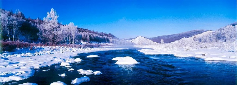 1703777375710885.png 圖片12.png