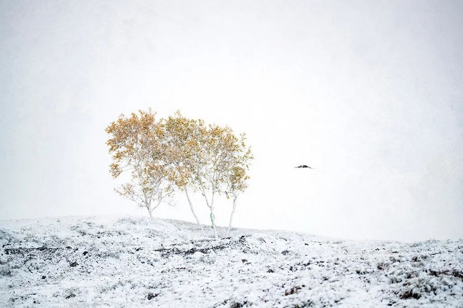 1703777402140395.png 圖片15.png