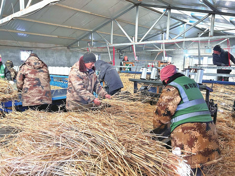 1740452893125351.jpg 錫林郭勒2.jpg