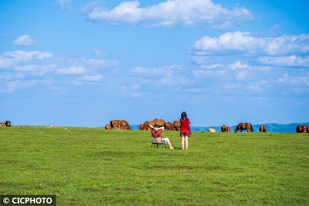 1751701808197558.jpg 1751701808197558.jpg