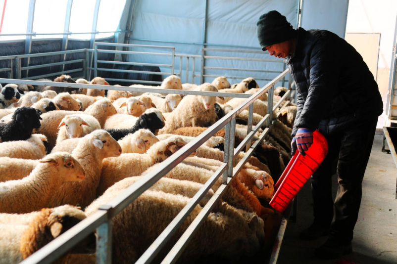 1771035907230004.png 圖片20.png