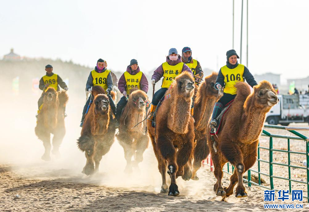 3月7日，賽駝手在6000米成年駱駝場(chǎng)地速度賽比賽中。.jpg