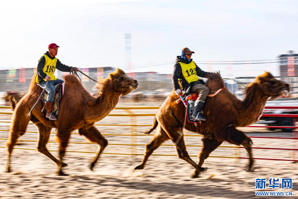 3月7日，賽駝手在6000米成年駱駝場(chǎng)地速度賽比賽中.jpg