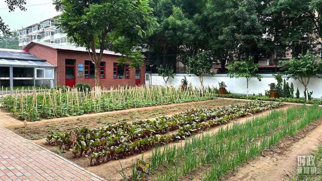 △學(xué)生農(nóng)場(chǎng)。（總臺(tái)央視記者趙化拍攝）