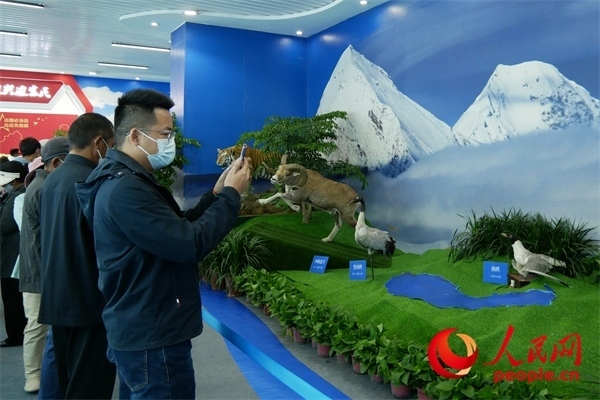 6月17日，觀眾正在觀展。人民網(wǎng) 韋衍行攝