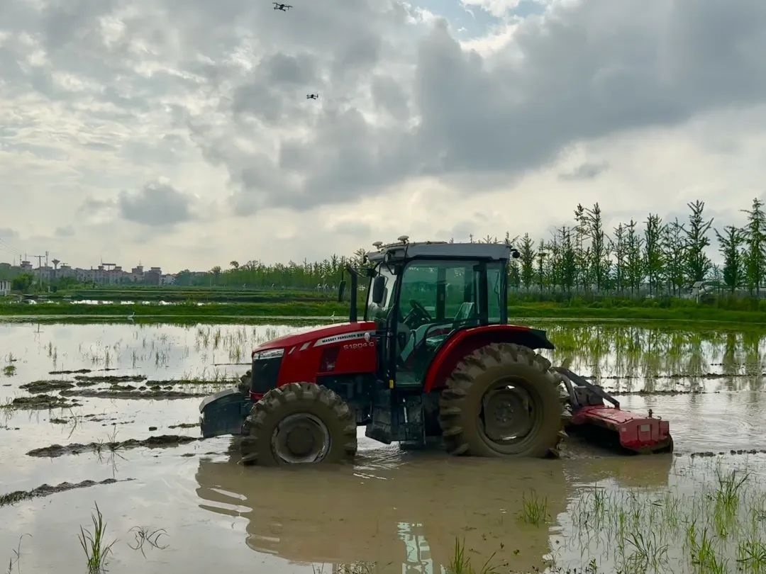 浙江省金華市東陽(yáng)市城東街道寀盧村的一臺(tái)無(wú)人駕駛耕地機(jī)。靜玄 攝