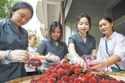 志愿者和村民一起將摘下的楊梅裝進(jìn)食品盒里。