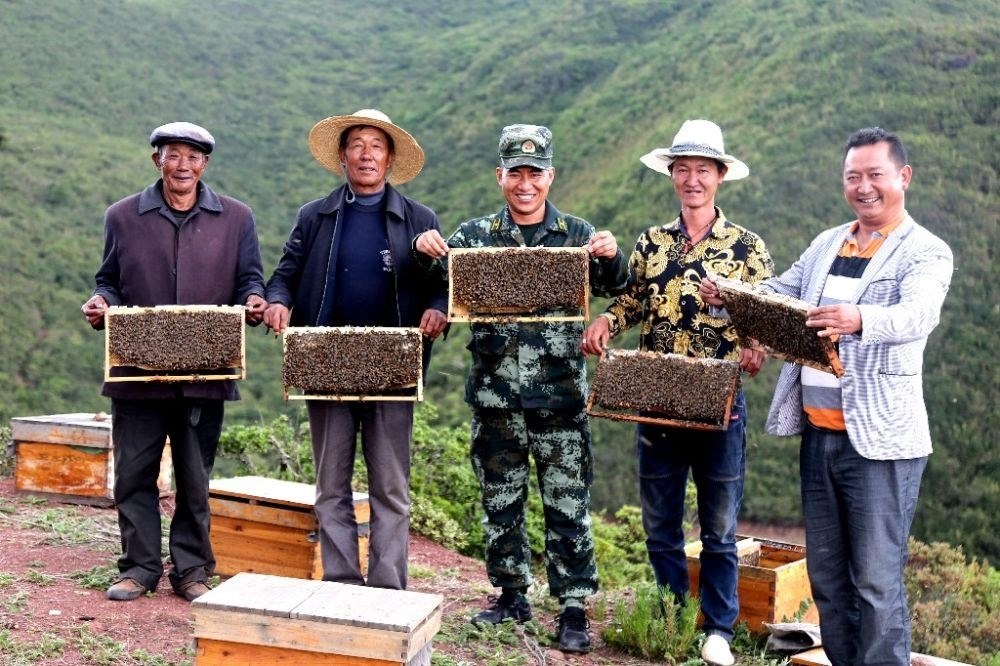 ↑武警四川總隊(duì)涼山支隊(duì)精準(zhǔn)幫扶昭覺(jué)縣梭梭拉打村發(fā)展養(yǎng)蜂產(chǎn)業(yè)，總隊(duì)駐村扶貧干部布哈（中）和村民一同展示豐收成果（2019年6月12日攝）。新華社發(fā)（楊劍 攝）