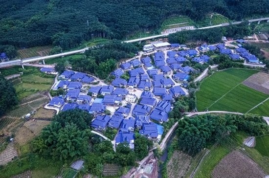 磨憨鎮(zhèn)曼莊村大龍哈小組現(xiàn)代化邊境幸福村新貌。人民網(wǎng)記者 符皓攝