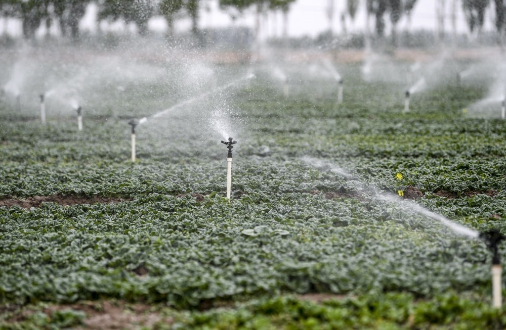 2023年5月25日，在寧夏銀川市永寧縣望洪鎮(zhèn)宋澄村冷涼蔬菜種植基地，小型噴灌節(jié)水設(shè)備在進行噴灌作業(yè)。新華社記者 馮開華 攝