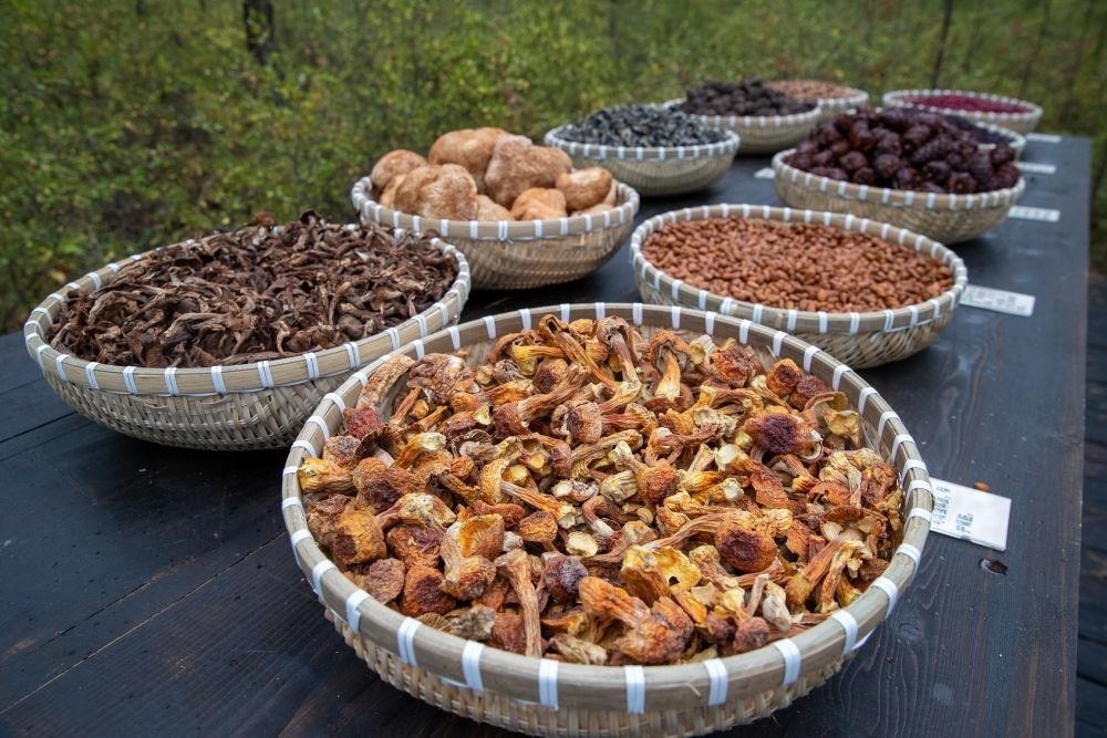 △近日，漠河市北極村一景區(qū)展示的林下產(chǎn)品。