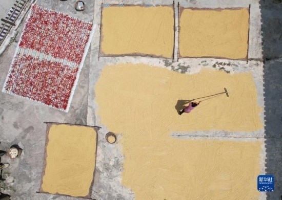 9月16日，村民在貴州省黔東南苗族侗族自治州施秉縣馬溪鄉(xiāng)王家坪村晾曬稻谷（無人機照片）。