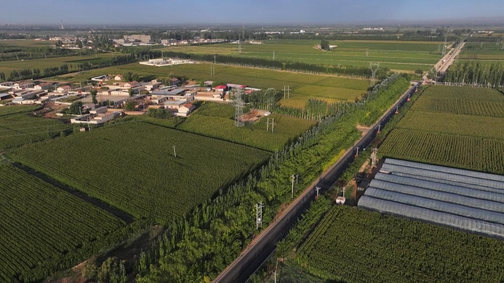 東興村周邊建起防護(hù)林網(wǎng)（無人機(jī)照片，2023年9月12日攝）。新華社記者李云平 攝