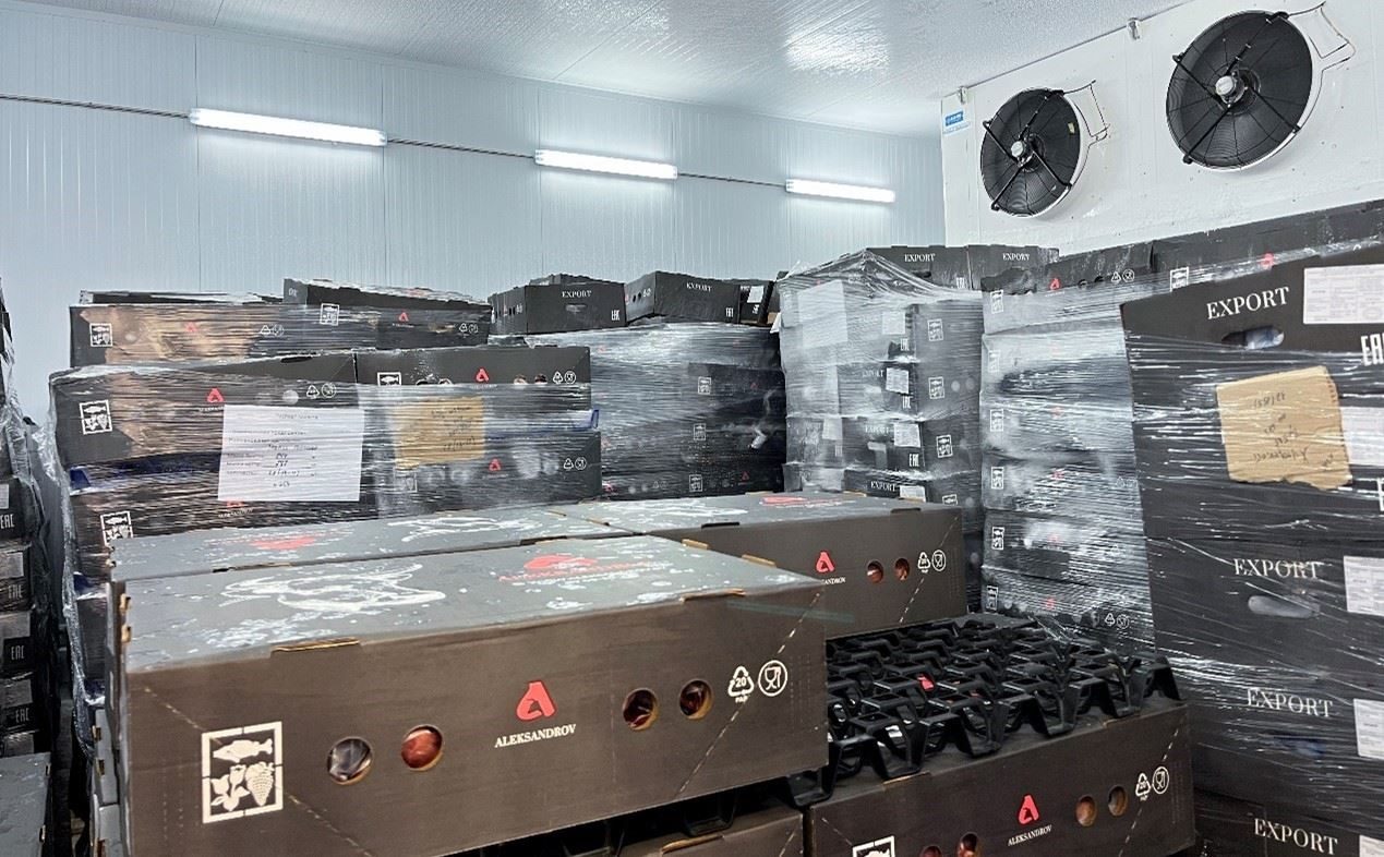 恒溫冷庫中，包裝好的牛肉等待發(fā)往中國。人民網(wǎng)記者 朱虹攝