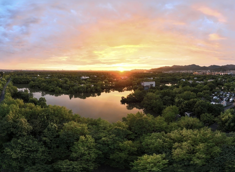 杭州西溪濕地日出景觀。