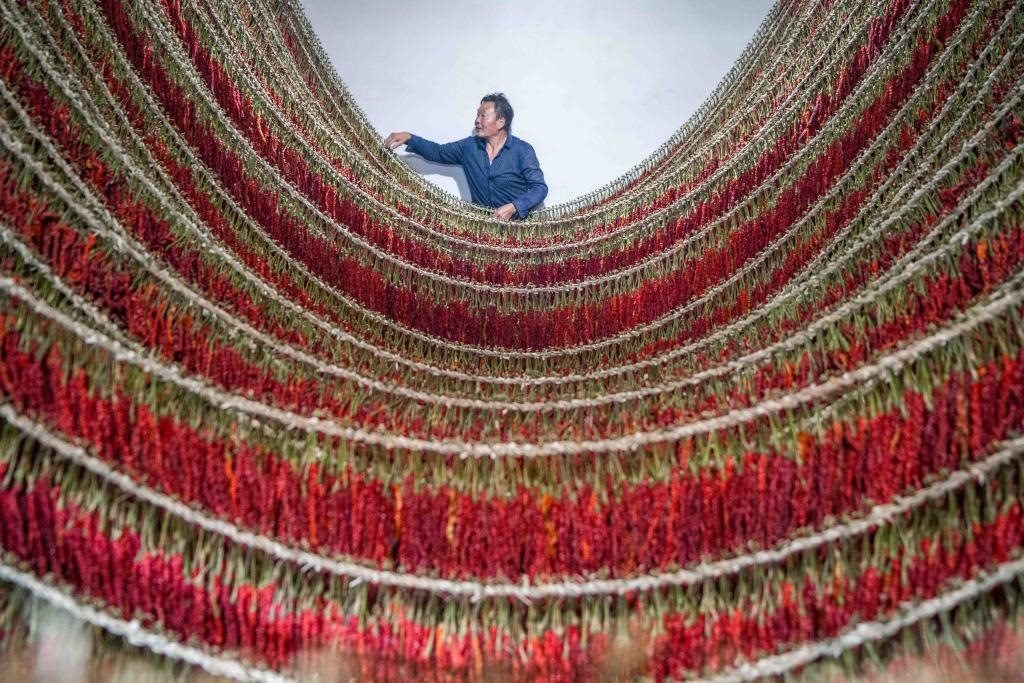 在貴州省畢節(jié)市大方縣理化鄉(xiāng)金雞村，村民查看辣椒烘干情況。新華社發(fā) 羅大富攝