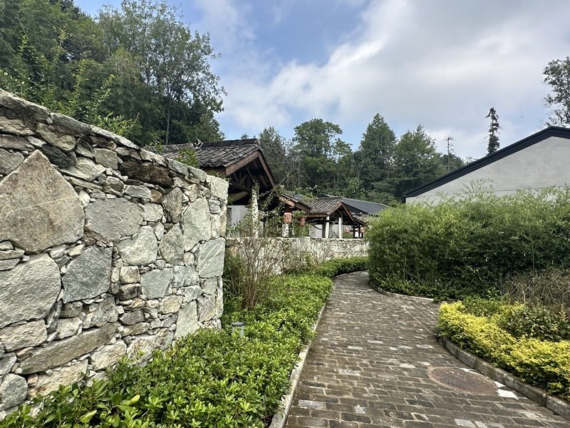 眾多民宿坐落于夫子山山麓。人民網(wǎng) 王紹紹攝