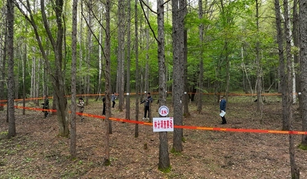 競賽現(xiàn)場。圖片來源：國家林業(yè)和草原局