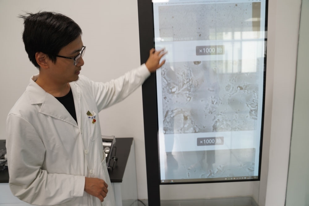 ↑ 工作人員展示瓷片標(biāo)本的配方研究數(shù)據(jù)（2023年5月16日攝）。