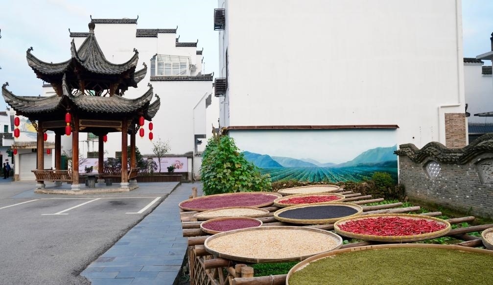 近日拍攝的江西省上饒市婺源縣秋口鎮(zhèn)王村石門自然村曬秋場(chǎng)景。新華社記者 胡晨歡 攝