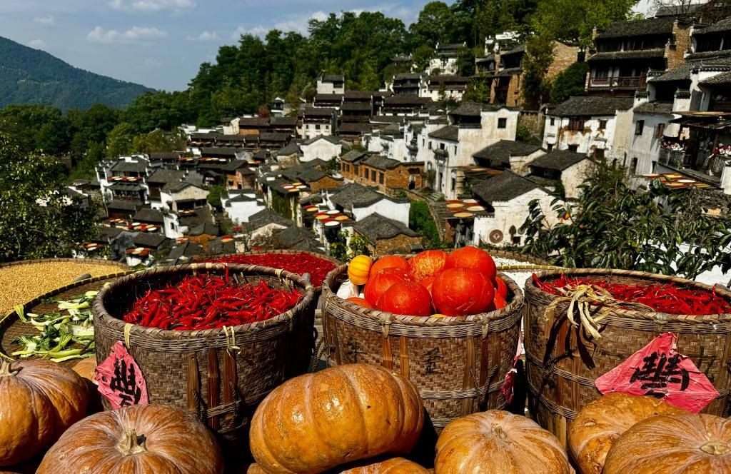 近日拍攝的江西省上饒市婺源縣篁嶺村曬秋畫面。新華社記者 胡晨歡 攝