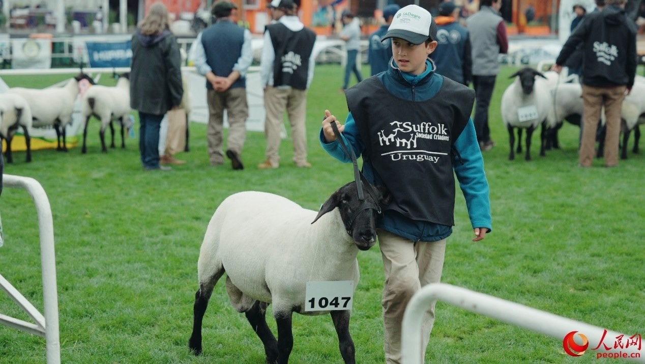 烏拉圭第118屆普拉多牧農(nóng)業(yè)國際博覽會現(xiàn)場。人民網(wǎng)記者 張若涵攝