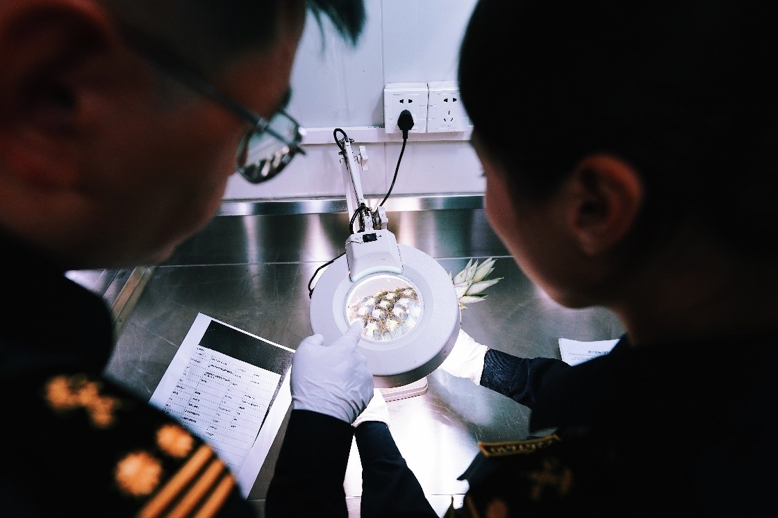 上海海關(guān)關(guān)員針對檢疫性有害生物和農(nóng)藥殘留進(jìn)行檢疫檢驗。陳興洲攝