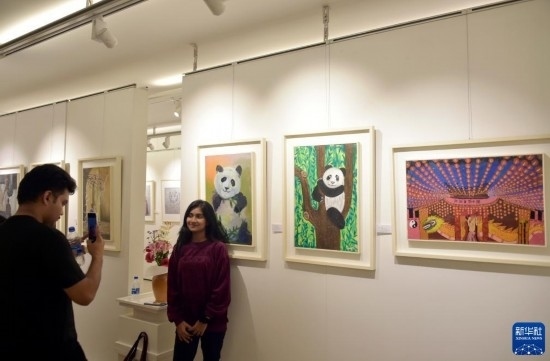 11月22日，在孟加拉國達(dá)卡，人們在“國家印象”繪畫展上參觀拍照。新華社發(fā)（薩利姆攝）