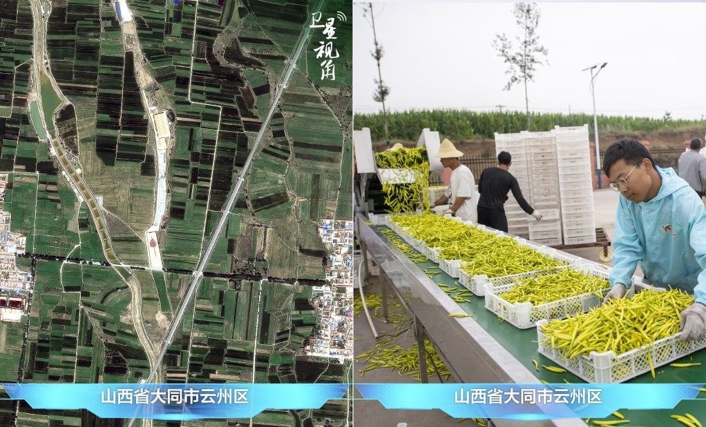 當(dāng)前，大同市開發(fā)黃花菜品、食品、飲品、功能食品、化妝品、文創(chuàng)產(chǎn)品六大系列130余種，全產(chǎn)業(yè)鏈產(chǎn)值超40億元。