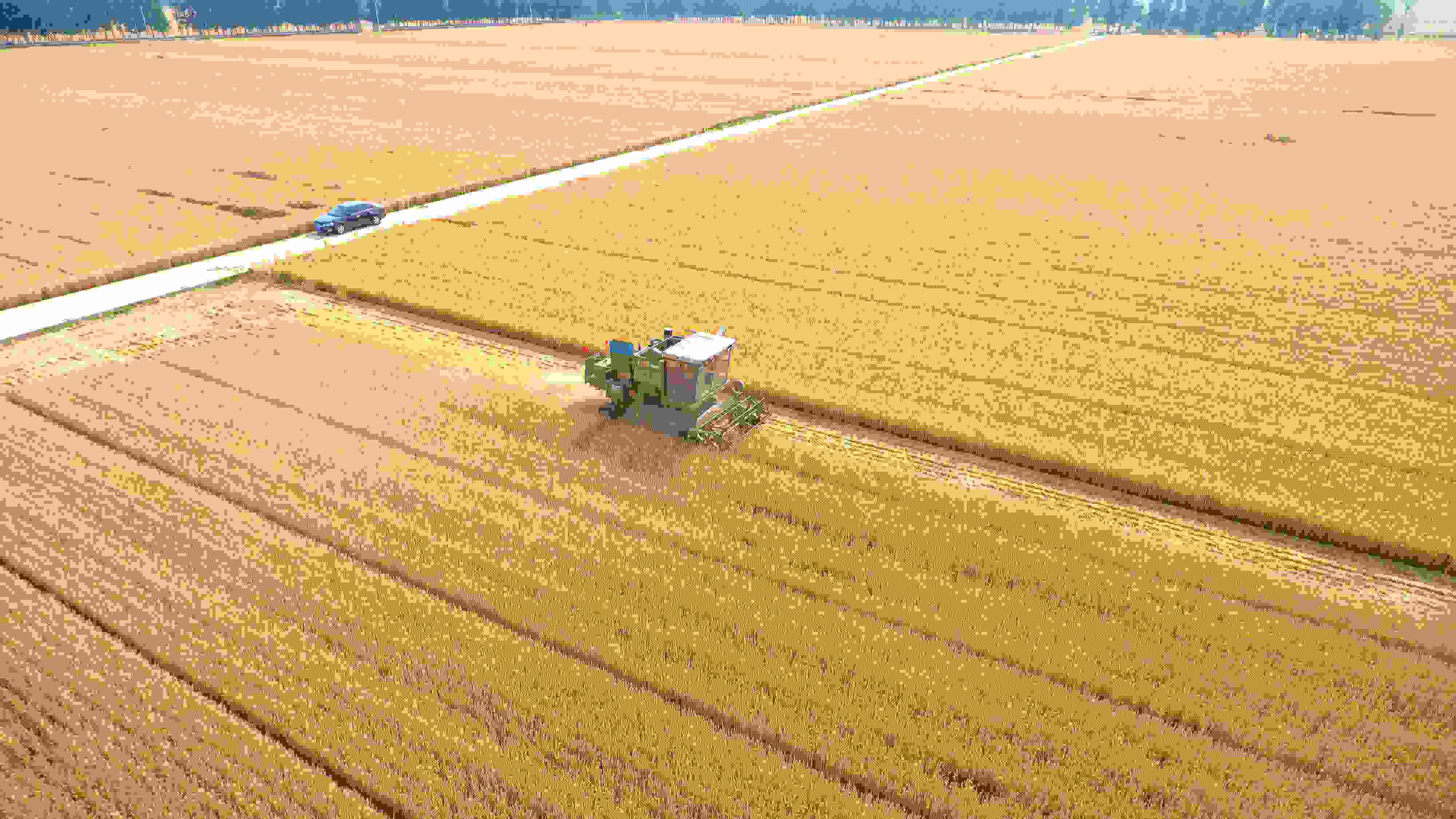 △ 2023年6月5日，山東聊城茌平區(qū)賈寨鎮(zhèn)王藥包村，收割機在田間進行小麥?zhǔn)崭钭鳂I(yè)。