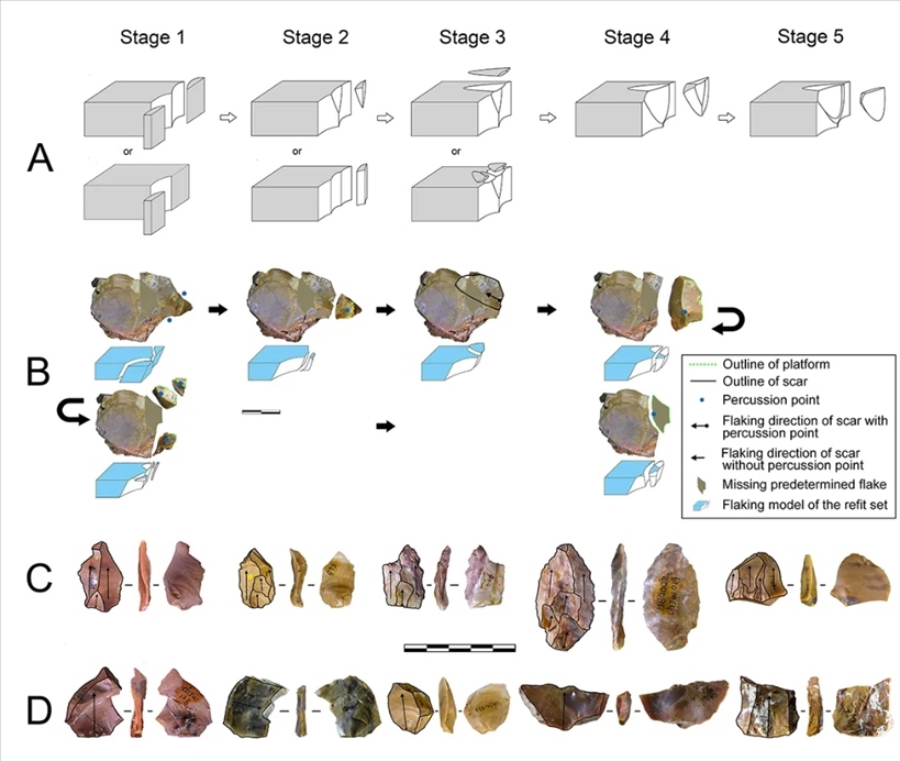 岑家灣遺址“準備石核技術”及相關石制品。（受訪單位供圖）