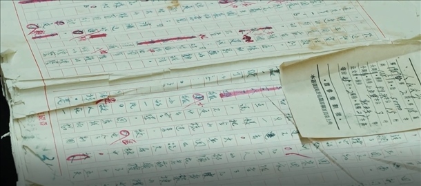 曲波《林海雪原》手稿。主辦方供圖