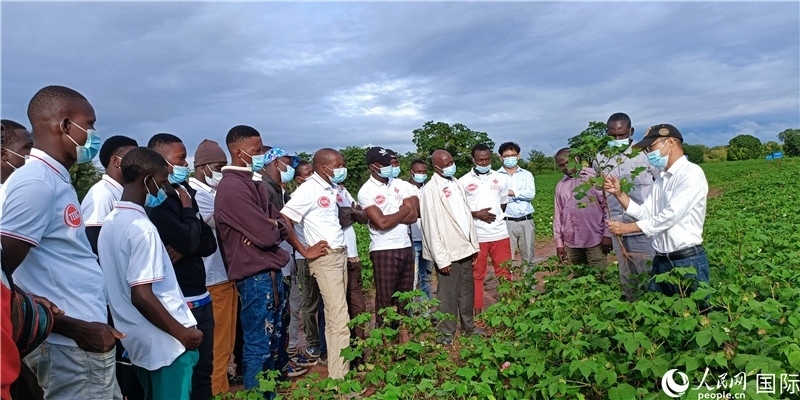 項(xiàng)目組長首小勇向當(dāng)?shù)孛揶r(nóng)做技術(shù)講解。人民網(wǎng)記者 黃培昭攝