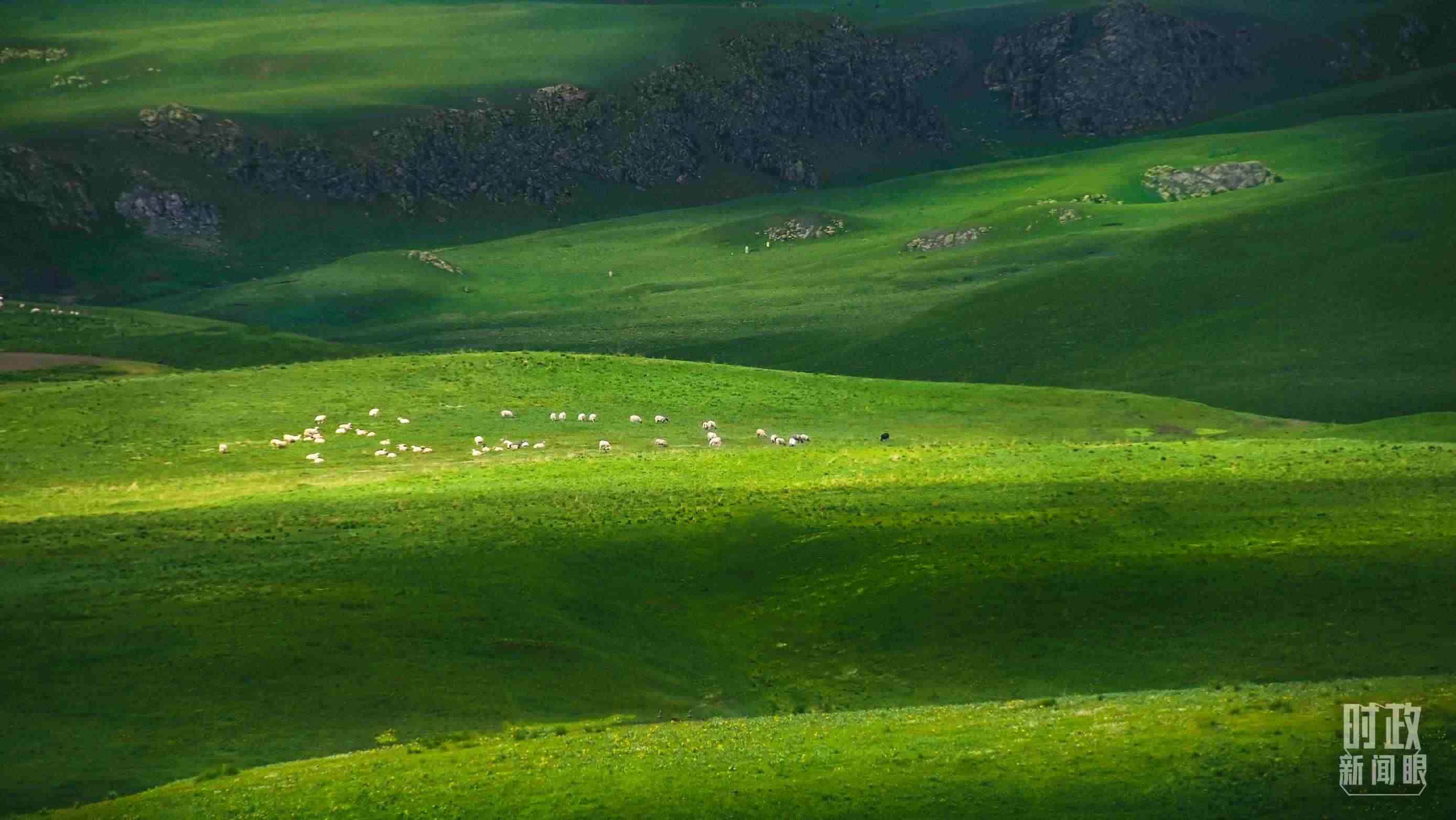 △祁連山草原光影。（圖/視覺中國）