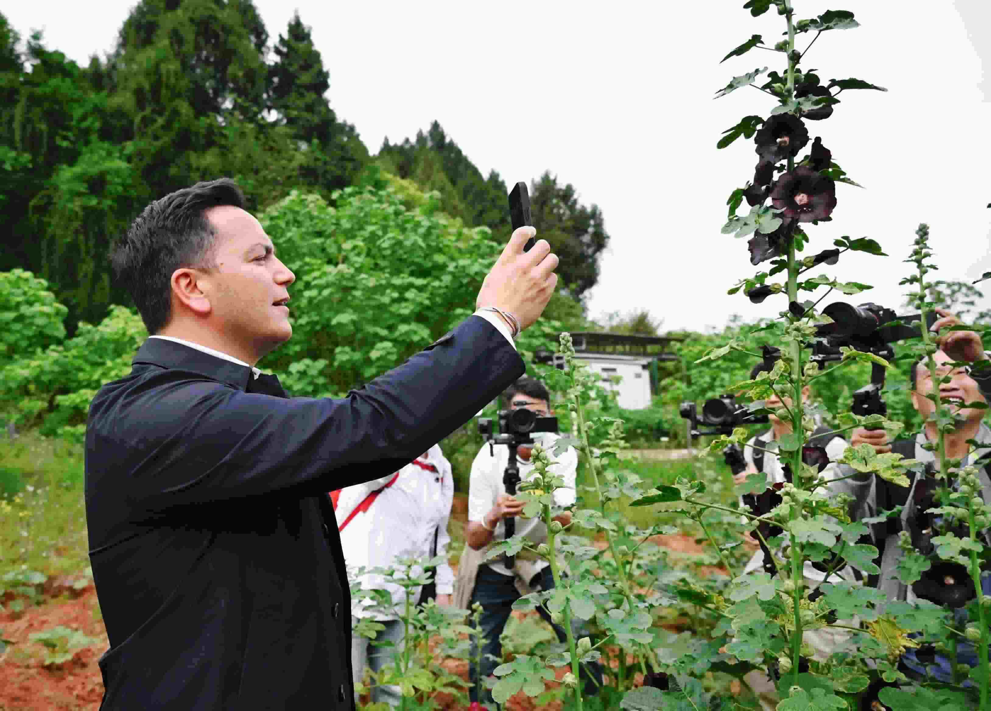  △2024年4月23日，國(guó)際園藝生產(chǎn)者協(xié)會(huì)主席萊昂納多·卡皮塔尼奧在成都市金堂縣鮮花山谷景區(qū)考察蜀葵產(chǎn)業(yè)。