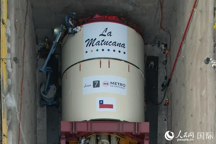 質(zhì)構(gòu)機全景。陳露明攝