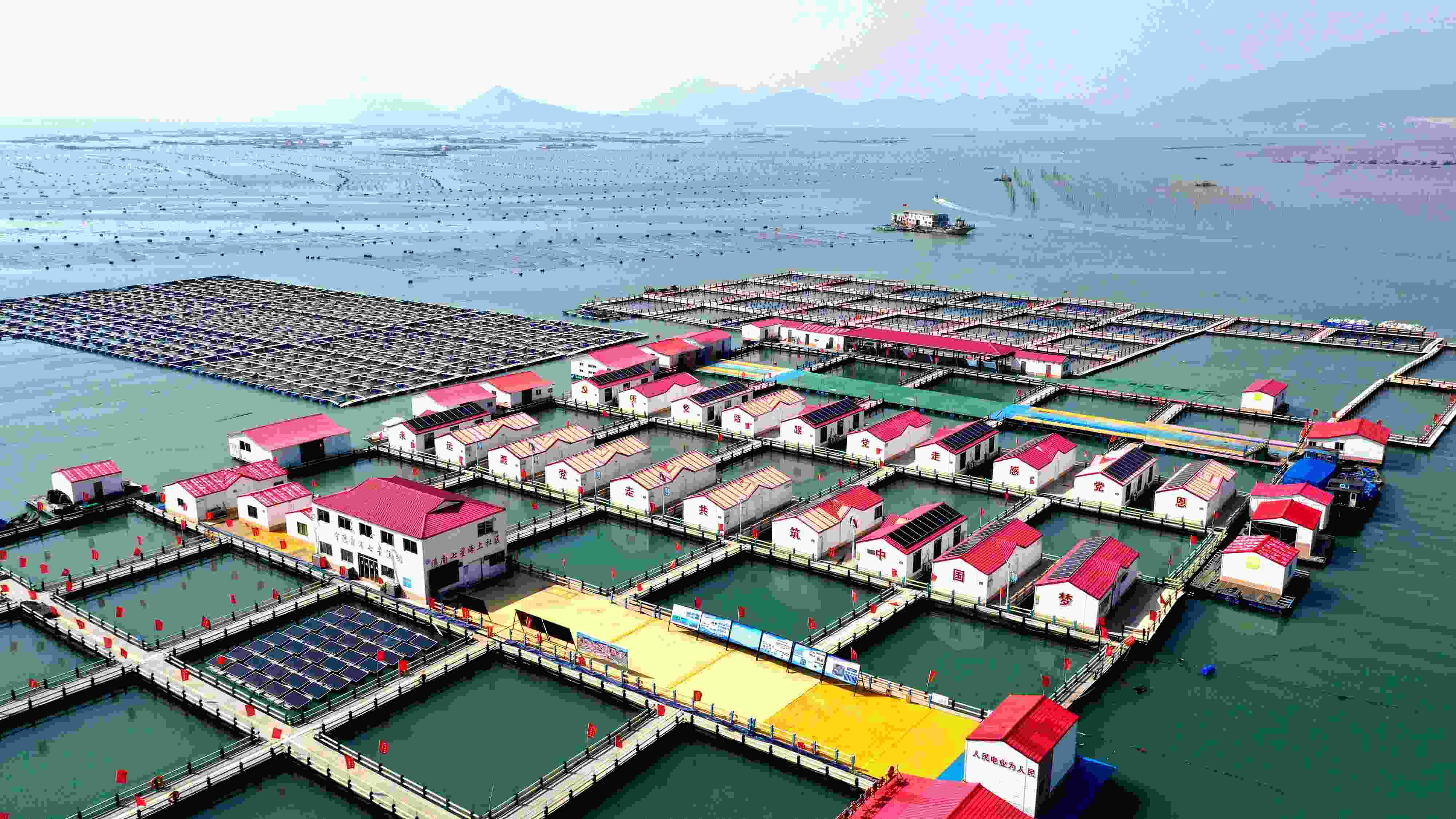 2024年3月20日，福建省寧德市，霞浦縣溪南鎮(zhèn)七星村漁排養(yǎng)殖示范區(qū)，漁民駕駛養(yǎng)殖船進(jìn)行海參養(yǎng)殖作業(yè)。