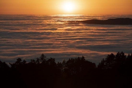 這是5月14日在美國加利福尼亞州馬林縣拍攝的云海。新華社發(fā)（李建國攝）