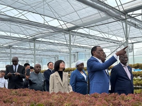 使節(jié)團(tuán)考察貴州省清鎮(zhèn)駱家橋蔬菜保供基地的無土栽培溫室。新華社記者 袁睿 攝