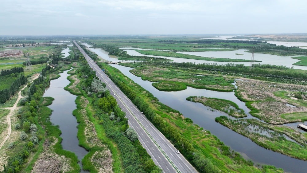 這是2024年6月13日拍攝的黃河寧夏段濱河大道（無(wú)人機(jī)照片）。近年來(lái)，寧夏努力建設(shè)黃河流域生態(tài)保護(hù)和高質(zhì)量發(fā)展先行區(qū)，全力打好黃河保護(hù)持久戰(zhàn)。新華社記者 王鵬 攝