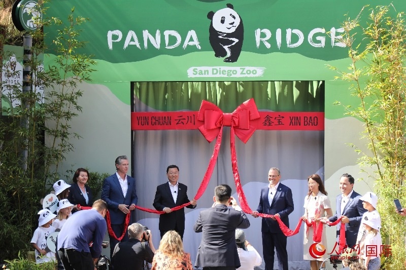 1、中國駐美國大使謝鋒、加州州長紐森、圣迭戈市市長格洛利亞等人共同為“熊貓嶺”開館剪彩。 人民網(wǎng)記者 李志偉攝