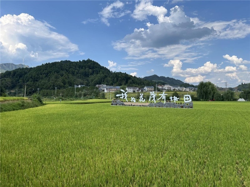 青瓦白磚的黔北民居、風(fēng)中搖曳的稻田、抬手可觸的大片云朵……才剛下車，格魯吉亞“經(jīng)濟(jì)中心網(wǎng)”總編輯莉安娜·喬爾喬利亞尼就被眼前的景色拖住了步履，喃喃細(xì)語(yǔ)：“實(shí)在太美了，讓我內(nèi)心平靜，在這里生活一定非常安逸和幸福。”（邱輝攝）