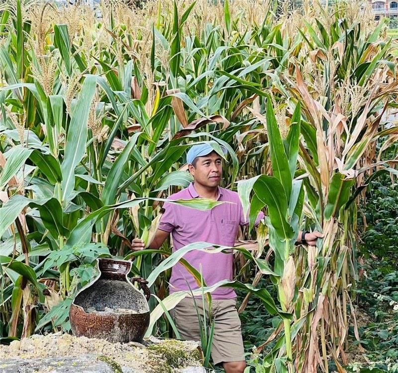 不是攀登石林高臺(tái)，就是鉆入玉米莊稼地，吉爾吉斯斯坦《自由之山報(bào)》總編輯納拉雷·阿桑巴耶夫“身手不凡”，與生長(zhǎng)旺盛的玉米構(gòu)成了花茂村的鄉(xiāng)間野趣。（張亞欣攝）